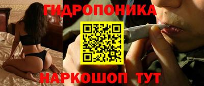 ALPHA PVP Моздок