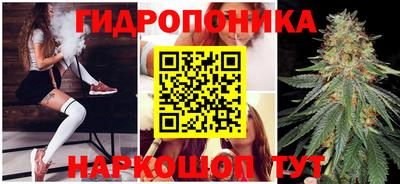 ALPHA PVP Моздок