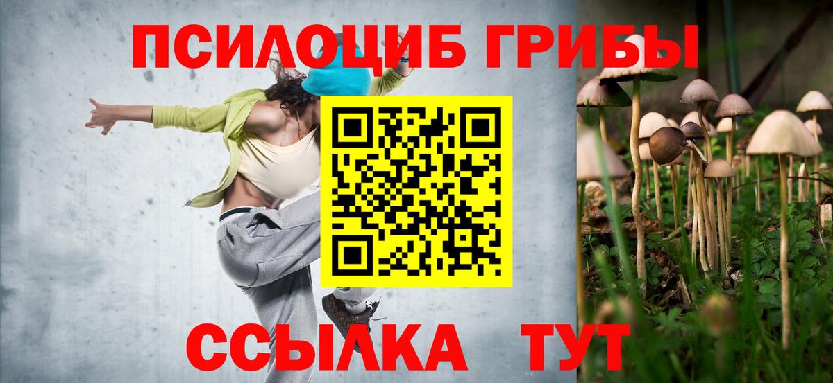 Псилоцибиновые грибы GOLDEN TEACHER Великий Новгород